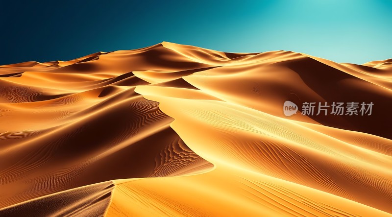 金色沙丘下的神秘沙漠