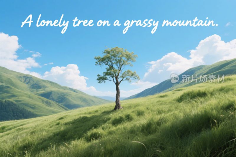 草地山上的孤树