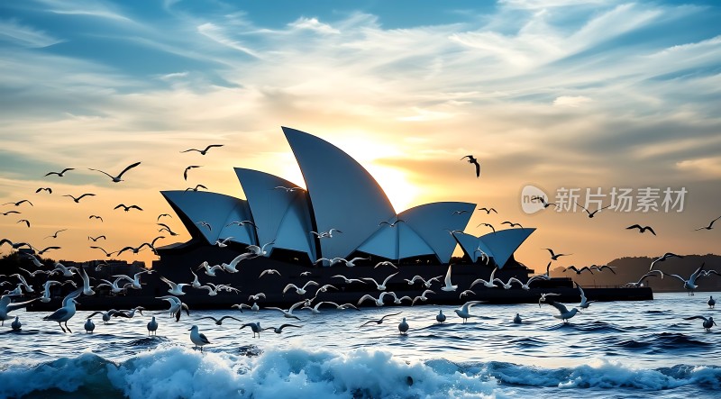 悉尼歌剧院日落海鸥飞舞