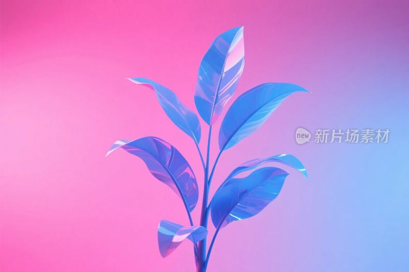 粉蓝渐变叶片插画