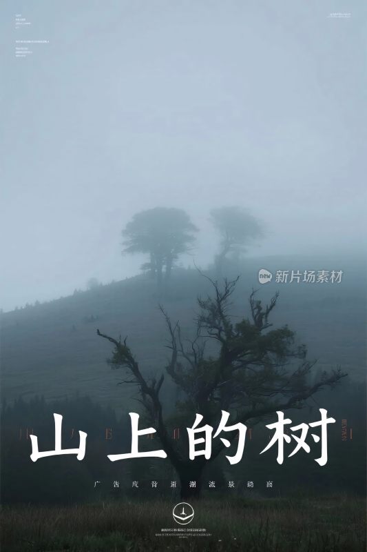 山上的树雾中山林