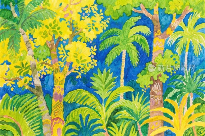 热带雨林插画