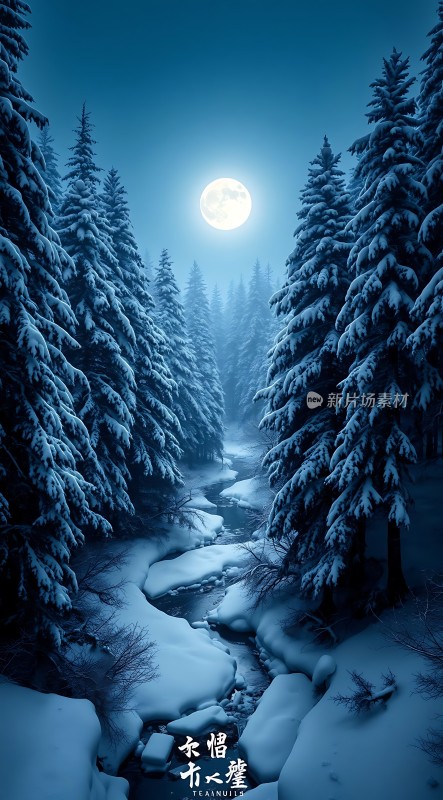 雪夜月下静谧森林