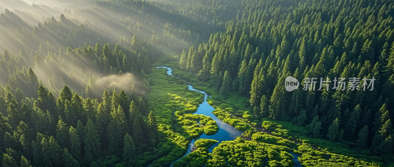 高山森林湖泊自然风光航拍图片