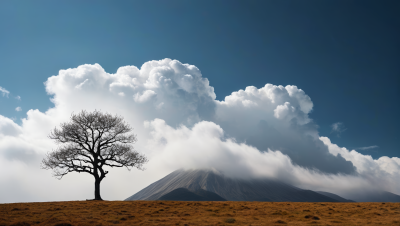 山上一棵孤树一座山高清图片