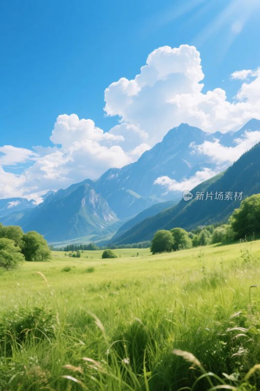 清新自然风景图