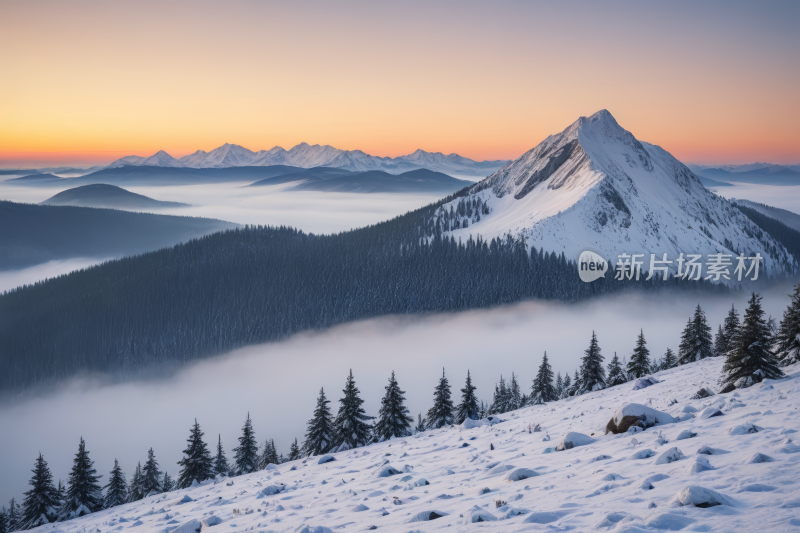 山上雪雾缭绕旁边有几棵树高清风景图片