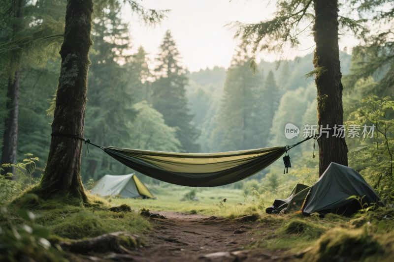 森林中的露营场景