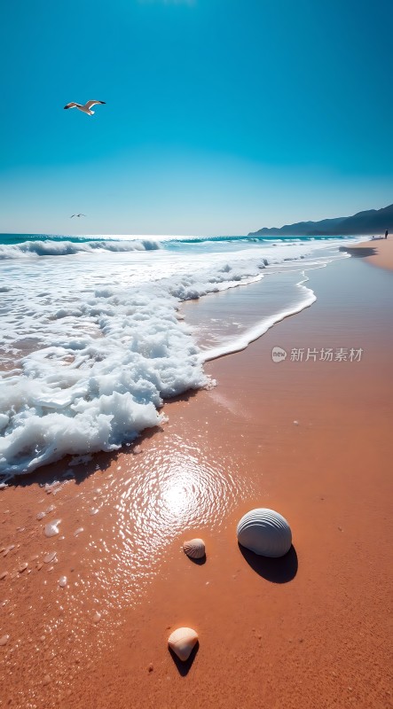阳光下的海滩贝壳与海浪