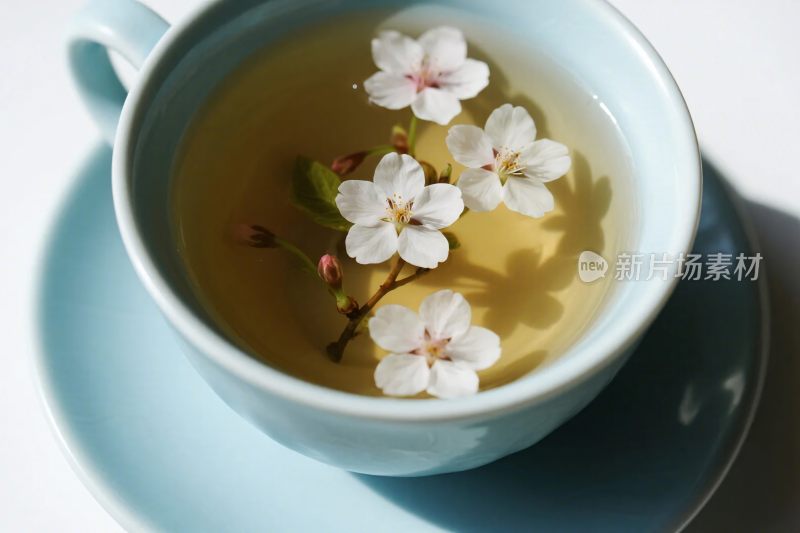 浅蓝杯花草茶