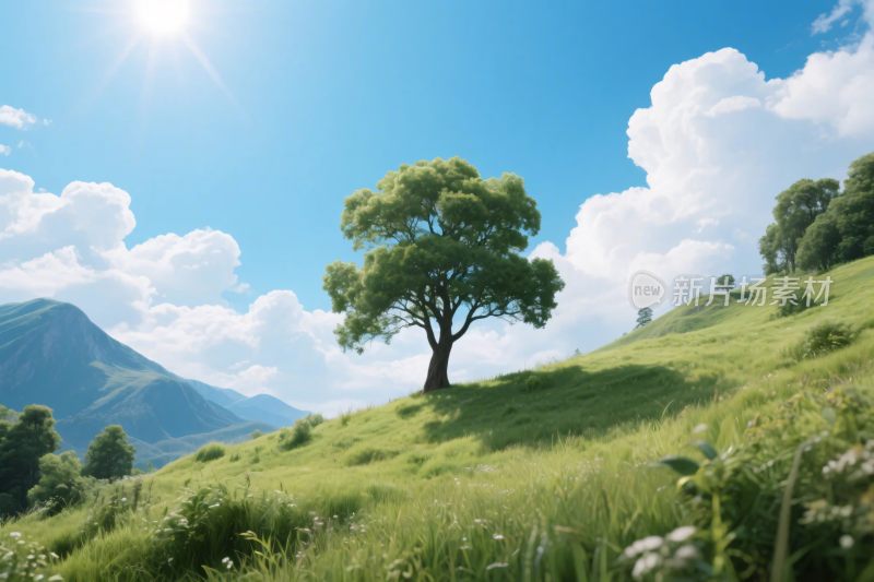 清新自然风景图