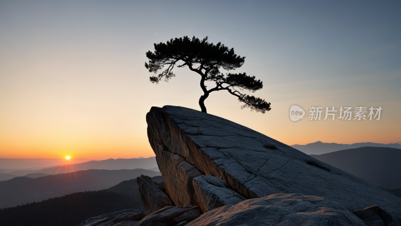 岩石山上的一棵孤树高清风景图片