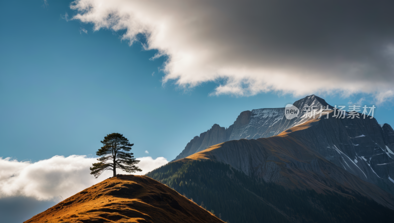 一座山一棵树高清风景图片