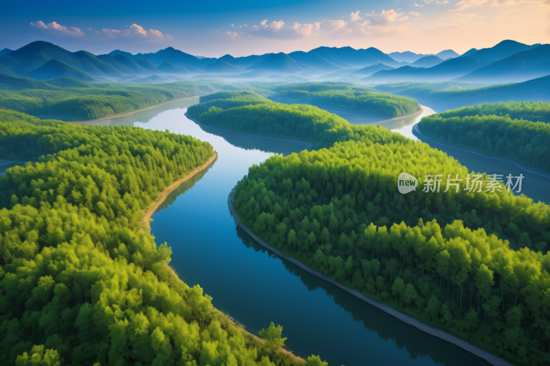 一条河流穿过郁郁葱葱的绿色森林风景图片