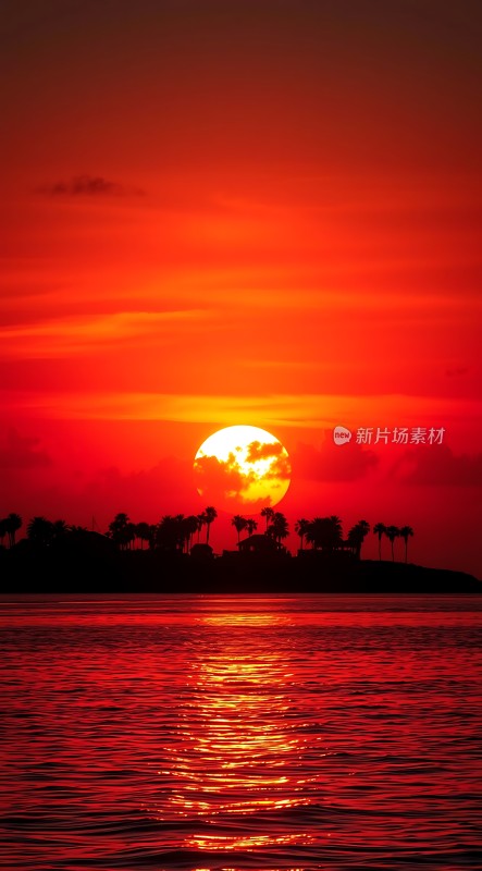 日落椰林映红海