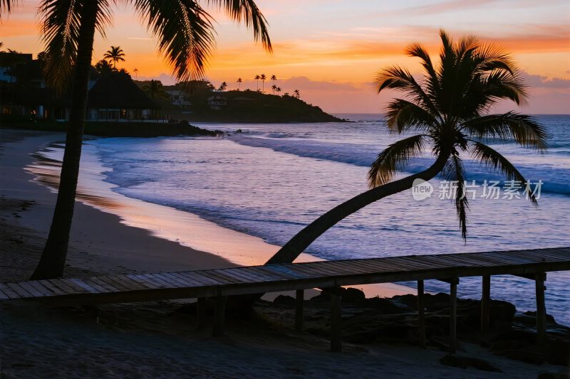 海滩夕阳棕榈树风景