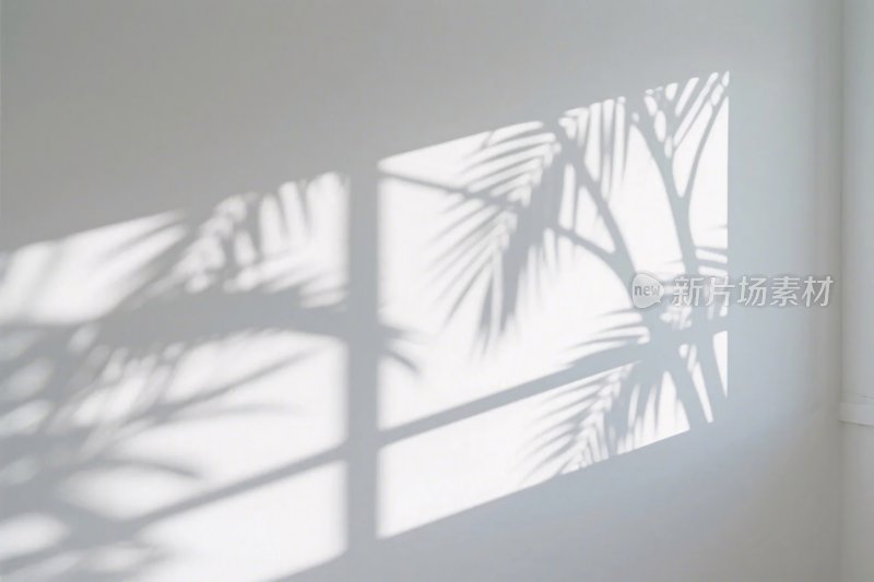 光影植物影子艺术