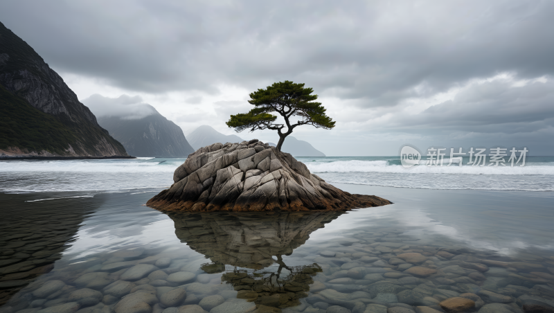 海洋岩石上的一棵孤树高清风景图片