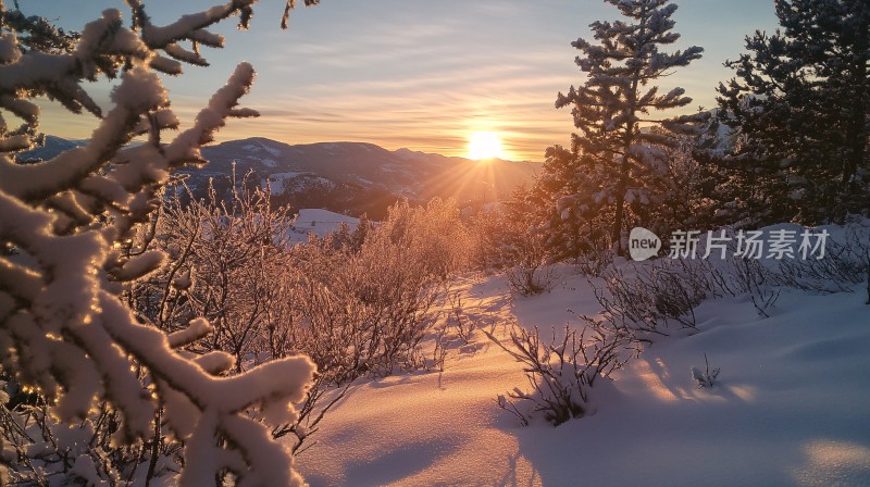 冬季雪景日出阳光