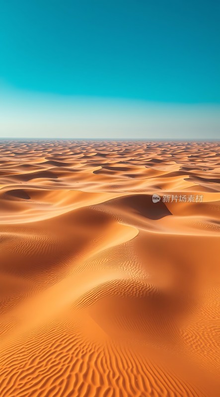 金色沙丘下的蔚蓝天空