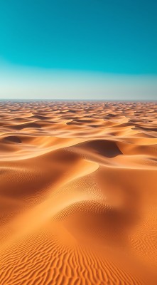 金色沙丘下的蔚蓝天空 金色沙丘下的蔚蓝天空