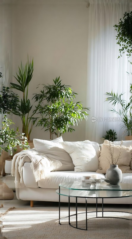 阳光绿意下的宁静客厅