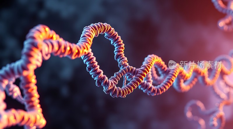 DNA螺旋结构之美