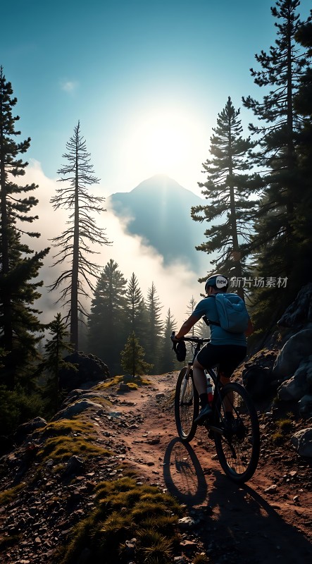 骑行者与自然共舞阳光下的冒险之旅
