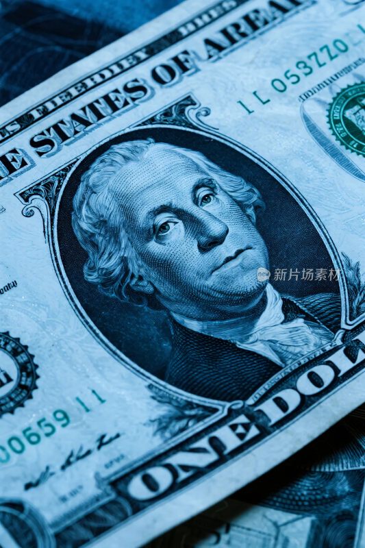 美元纸币特写