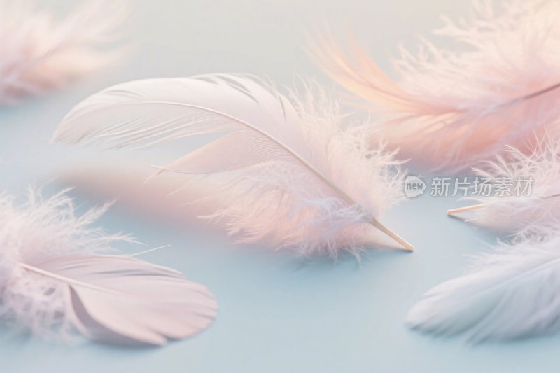 淡色羽毛轻柔画面