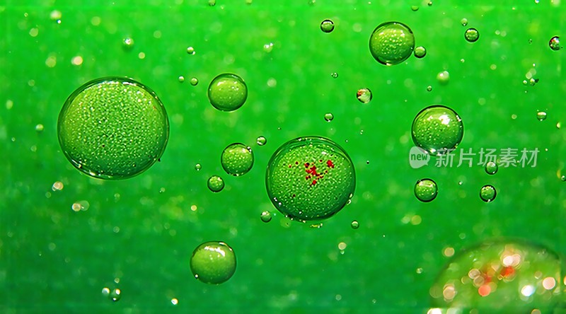 绿色气泡世界
