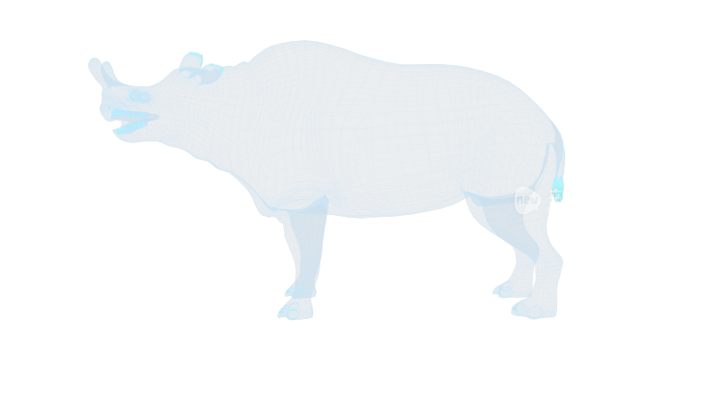 恐龙 Brontotherium 大雷兽