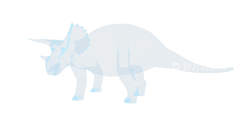 三角恐龙 白垩纪Triceratops