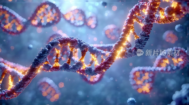 DNA螺旋结构之美