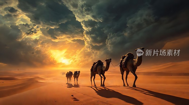 驼队穿越金色沙漠