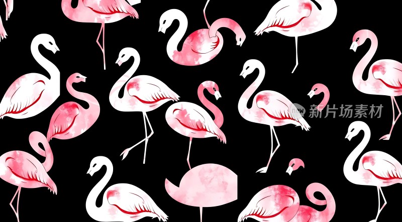 粉红火烈鸟与白天鹅交织的黑夜