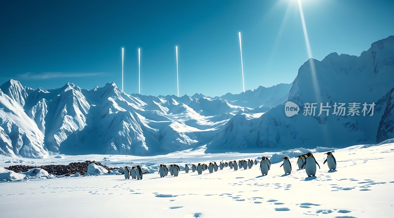 南极雪原上的企鹅奇观
