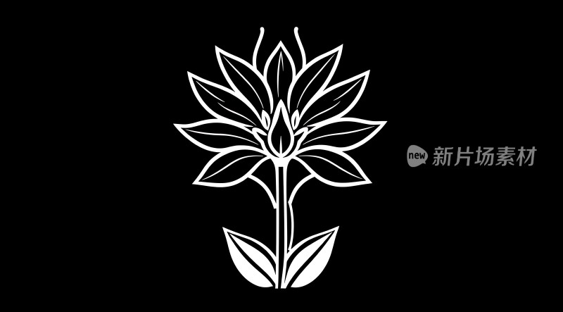 黑白莲花图案