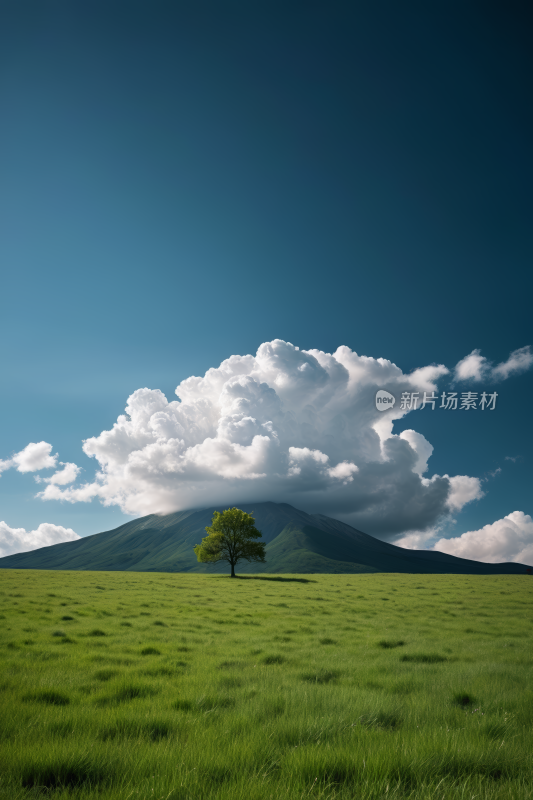 田野里一棵孤树一座高山清风景图片