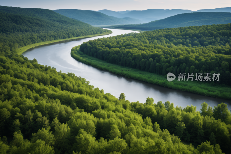 一条河流穿过郁郁葱葱的绿色森林风景图片