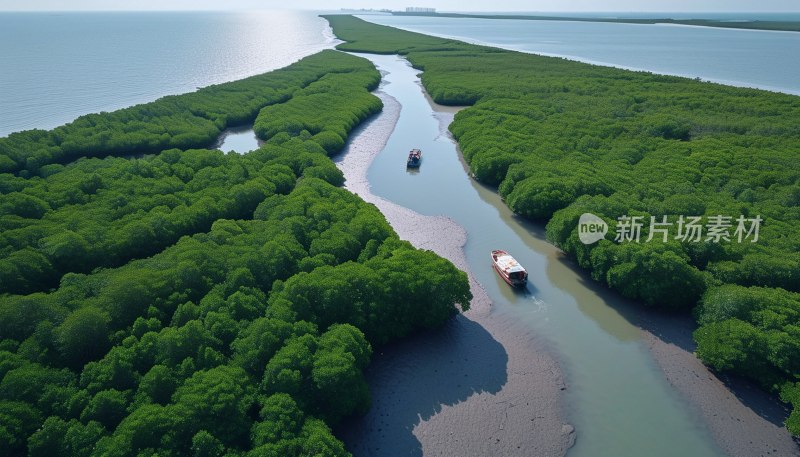 北海红树林美景