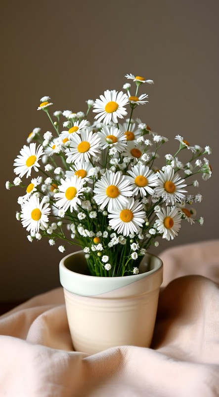 淡雅菊花盆栽清新自然之美