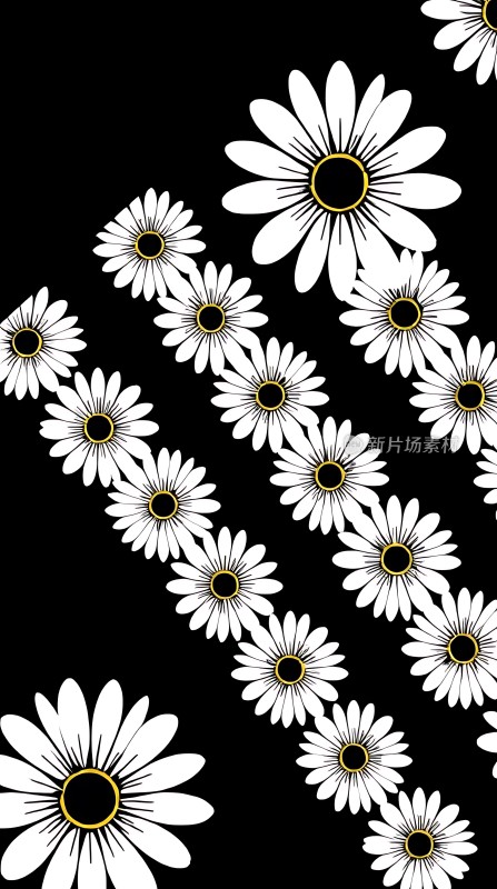 黑白相间繁花似锦