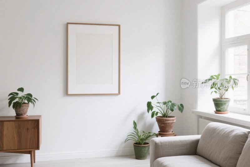 简约室内植物布置