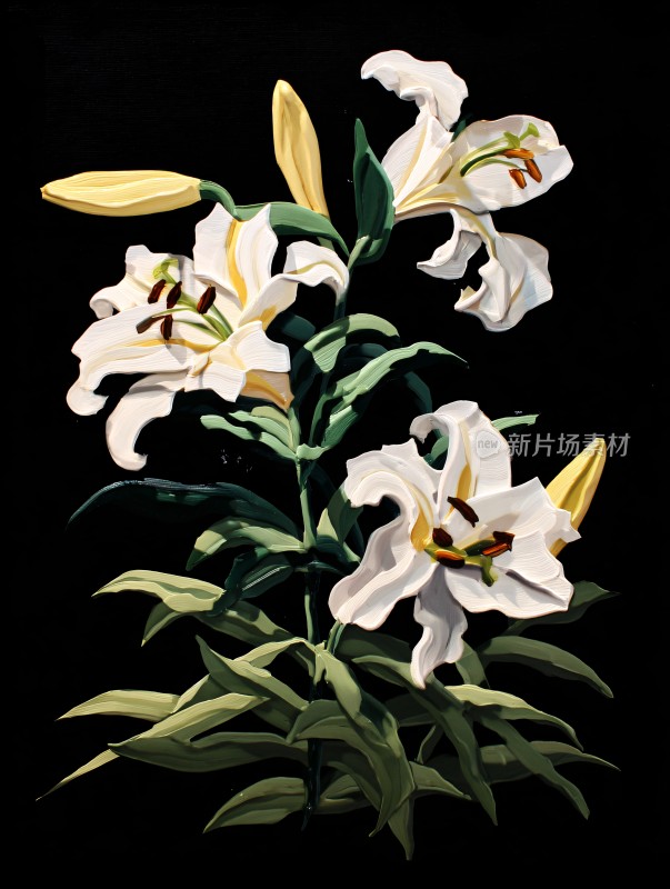 白色百合花插画