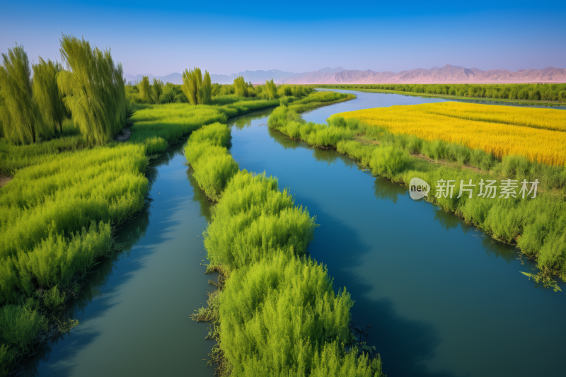 一条河流穿过郁郁葱葱的绿色田野风景图片