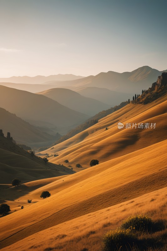 山脉几棵树高清风景图片