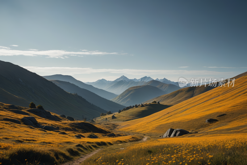 群山黄草黄花高清风景图片