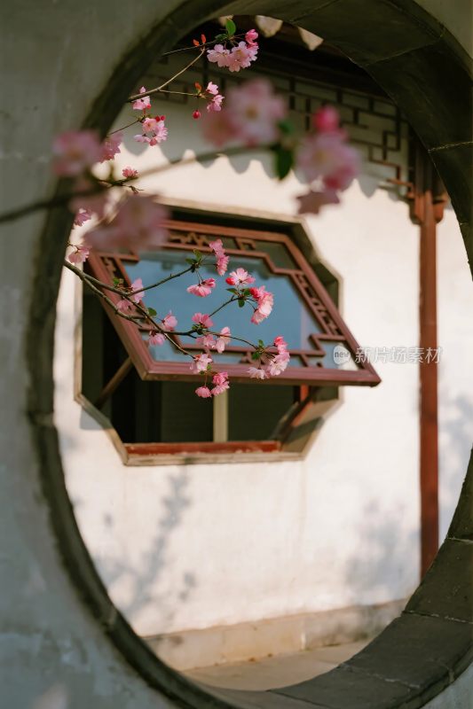 古建窗景樱花框景