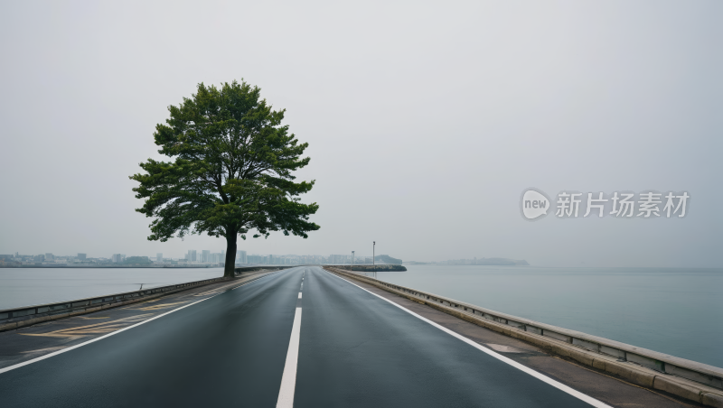 路边的一棵树高清风景图片